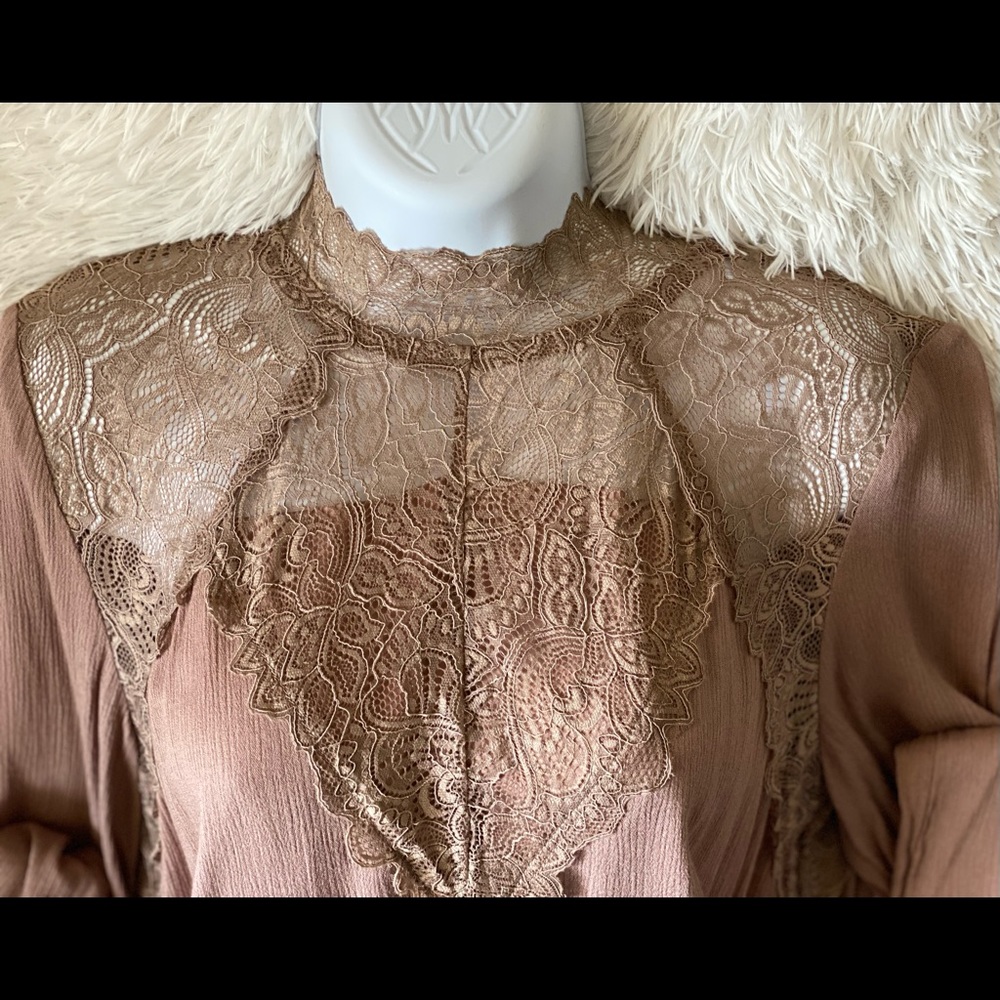Dark Champagne Laced Bodice Swing Dress